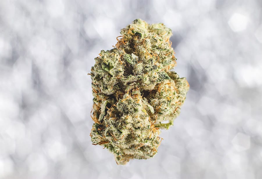 THCa-flower-info